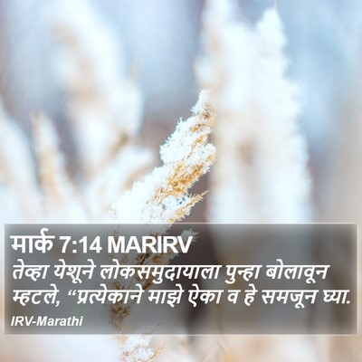 मार्क 7:14 MARIRV Bible Verse Image