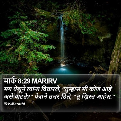मार्क 8:29 MARIRV Bible Verse Image