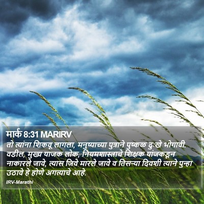 मार्क 8:31 MARIRV Bible Verse Image