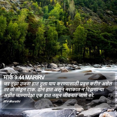 मार्क 9:44 MARIRV Bible Verse Image