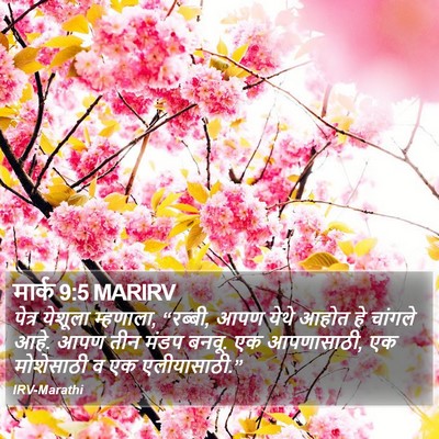 मार्क 9:5 MARIRV Bible Verse Image