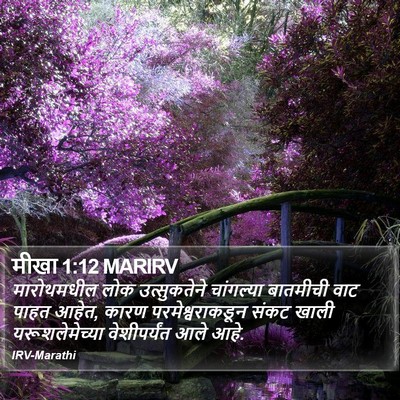 मीखा 1:12 MARIRV Bible Verse Image
