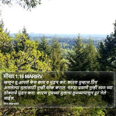 मीखा 1:16 MARIRV Bible Verse Image