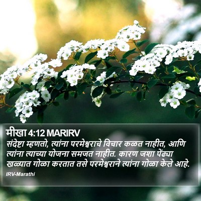मीखा 4:12 MARIRV Bible Verse Image