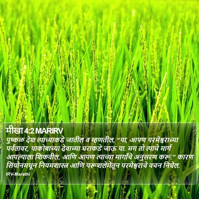 मीखा 4:2 MARIRV Bible Verse Image