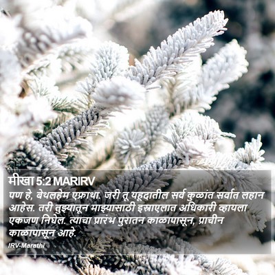 मीखा 5:2 MARIRV Bible Verse Image