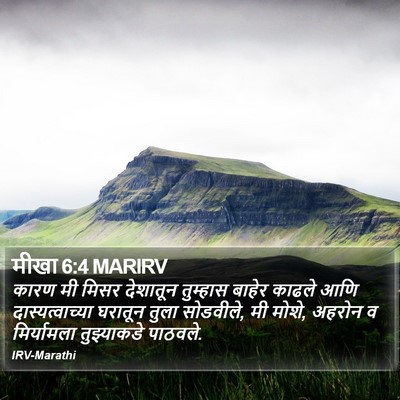मीखा 6:4 MARIRV Bible Verse Image