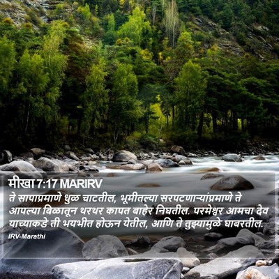 मीखा 7:17 MARIRV Bible Verse Image
