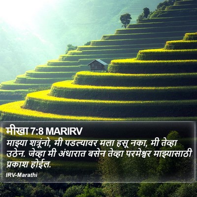मीखा 7:8 MARIRV Bible Verse Image