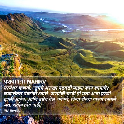 यशया 1:11 MARIRV Bible Verse Image