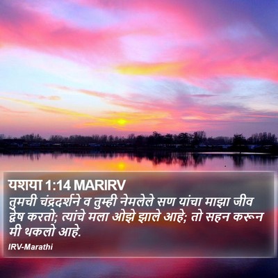 यशया 1:14 MARIRV Bible Verse Image