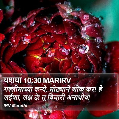 यशया 10:30 MARIRV Bible Verse Image