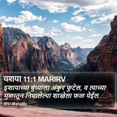 यशया 11:1 MARIRV Bible Verse Image
