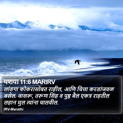 यशया 11:6 MARIRV Bible Verse Image