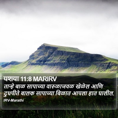 यशया 11:8 MARIRV Bible Verse Image