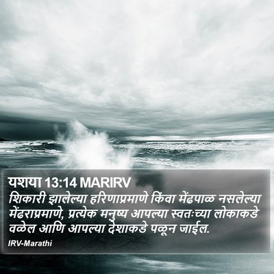 यशया 13:14 MARIRV Bible Verse Image