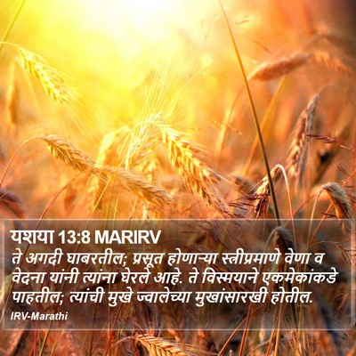यशया 13:8 MARIRV Bible Verse Image