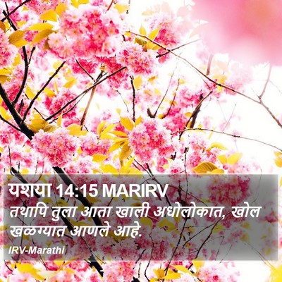 यशया 14:15 MARIRV Bible Verse Image