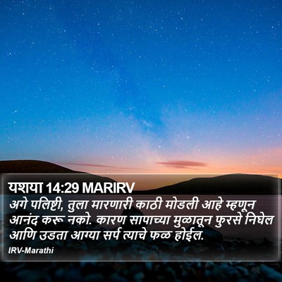 यशया 14:29 MARIRV Bible Verse Image