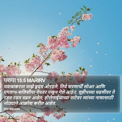 यशया 15:5 MARIRV Bible Verse Image