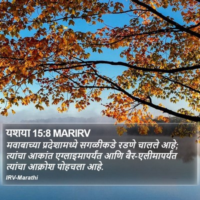 यशया 15:8 MARIRV Bible Verse Image