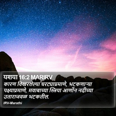 यशया 16:2 MARIRV Bible Verse Image