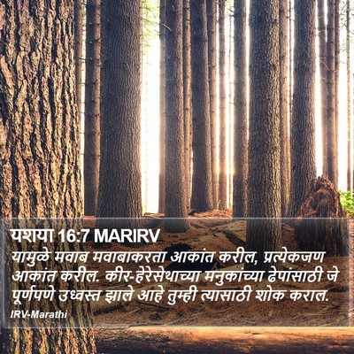 यशया 16:7 MARIRV Bible Verse Image