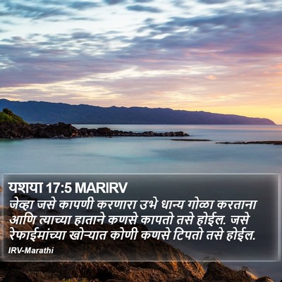 यशया 17:5 MARIRV Bible Verse Image