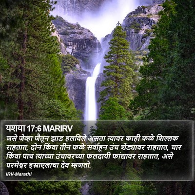 यशया 17:6 MARIRV Bible Verse Image