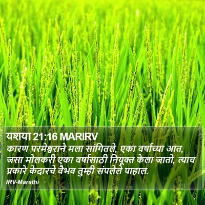 यशया 21:16 MARIRV Bible Verse Image