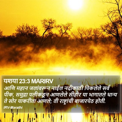 यशया 23:3 MARIRV Bible Verse Image