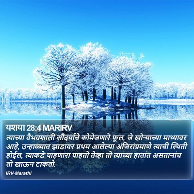 यशया 28:4 MARIRV Bible Verse Image