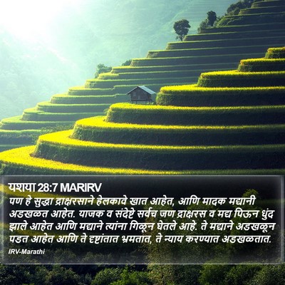 यशया 28:7 MARIRV Bible Verse Image