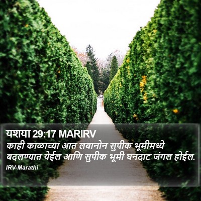 यशया 29:17 MARIRV Bible Verse Image