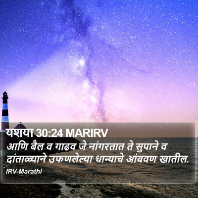 यशया 30:24 MARIRV Bible Verse Image
