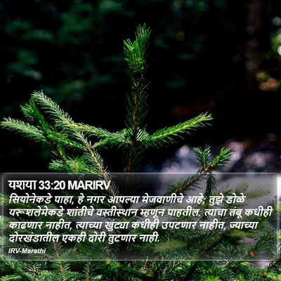 यशया 33:20 MARIRV Bible Verse Image