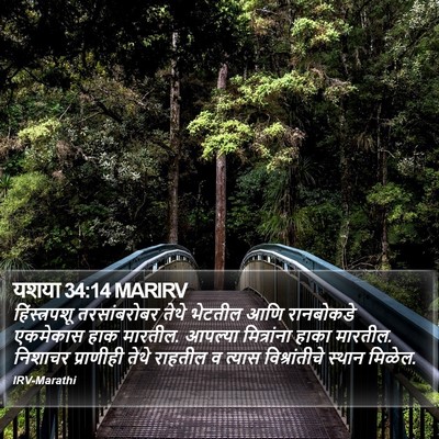 यशया 34:14 MARIRV Bible Verse Image