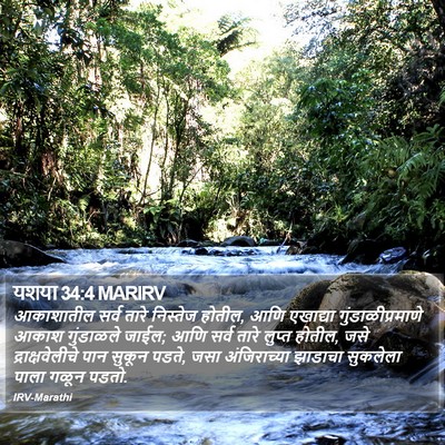 यशया 34:4 MARIRV Bible Verse Image