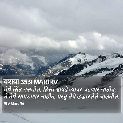यशया 35:9 MARIRV Bible Verse Image