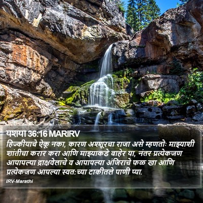 यशया 36:16 MARIRV Bible Verse Image