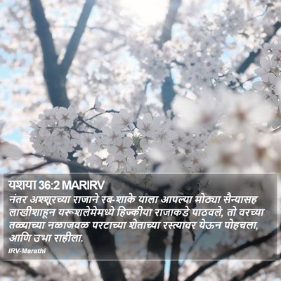 यशया 36:2 MARIRV Bible Verse Image