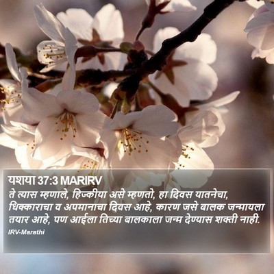 यशया 37:3 MARIRV Bible Verse Image