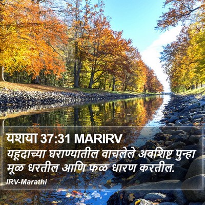 यशया 37:31 MARIRV Bible Verse Image