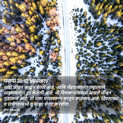यशया 38:12 MARIRV Bible Verse Image