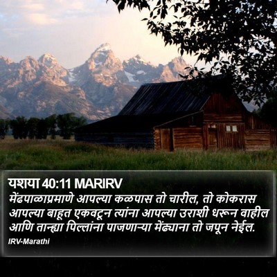 यशया 40:11 MARIRV Bible Verse Image
