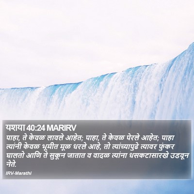 यशया 40:24 MARIRV Bible Verse Image