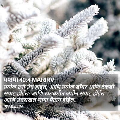 यशया 40:4 MARIRV Bible Verse Image