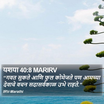 यशया 40:8 MARIRV Bible Verse Image