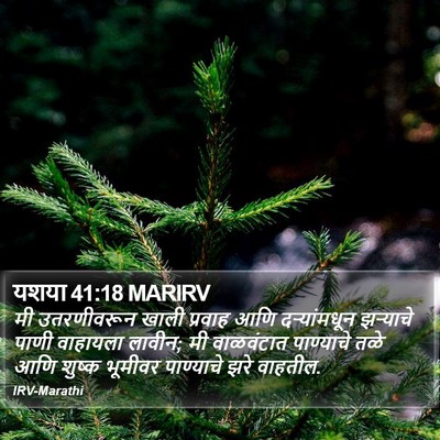 यशया 41:18 MARIRV Bible Verse Image