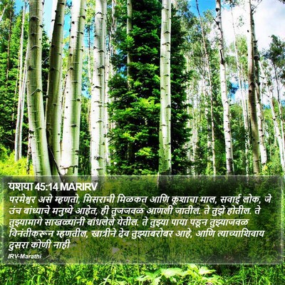 यशया 45:14 MARIRV Bible Verse Image